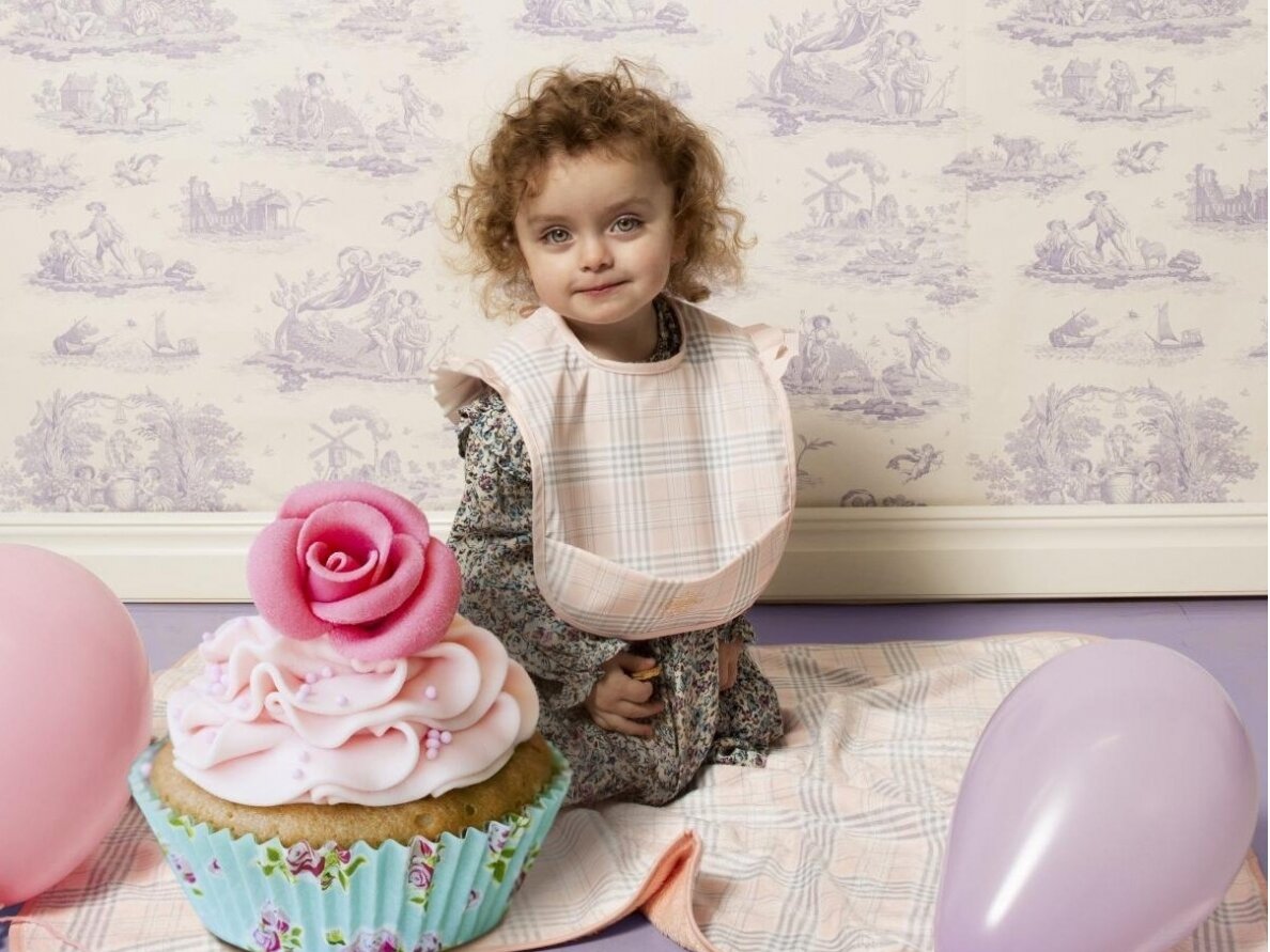 Bjallra of Sweden (Швеция) нагрудник Bib Pink Classic Collection 1 Bjallra of Sweden (Швеция) нагрудник Bib Pink Classic Collection 1