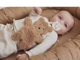 Teat Cloth Teddy Bear Biscuit 2