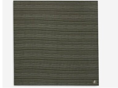 Jollein medvilnės merliukai 115x115cm Stripe Leaf Green Jollein medvilnės merliukai 115x115cm Stripe Leaf Green