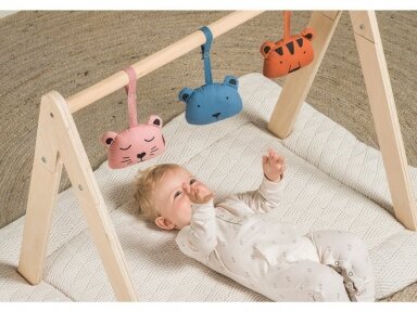 Подвесные игрушки Jollein Animal Club