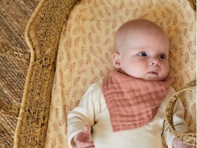 Jollein hidrofilinis seilinukas Bib Bandana Rosewood 6