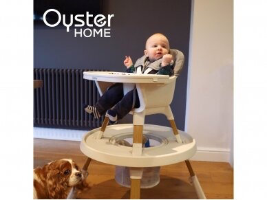 Oyster Home  4in1 Features Moon 8