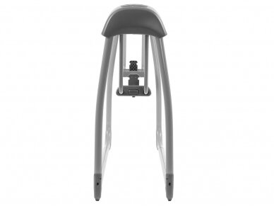 Oyster Swinging Crib Moon 4